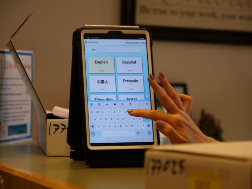 Instant language assistant 